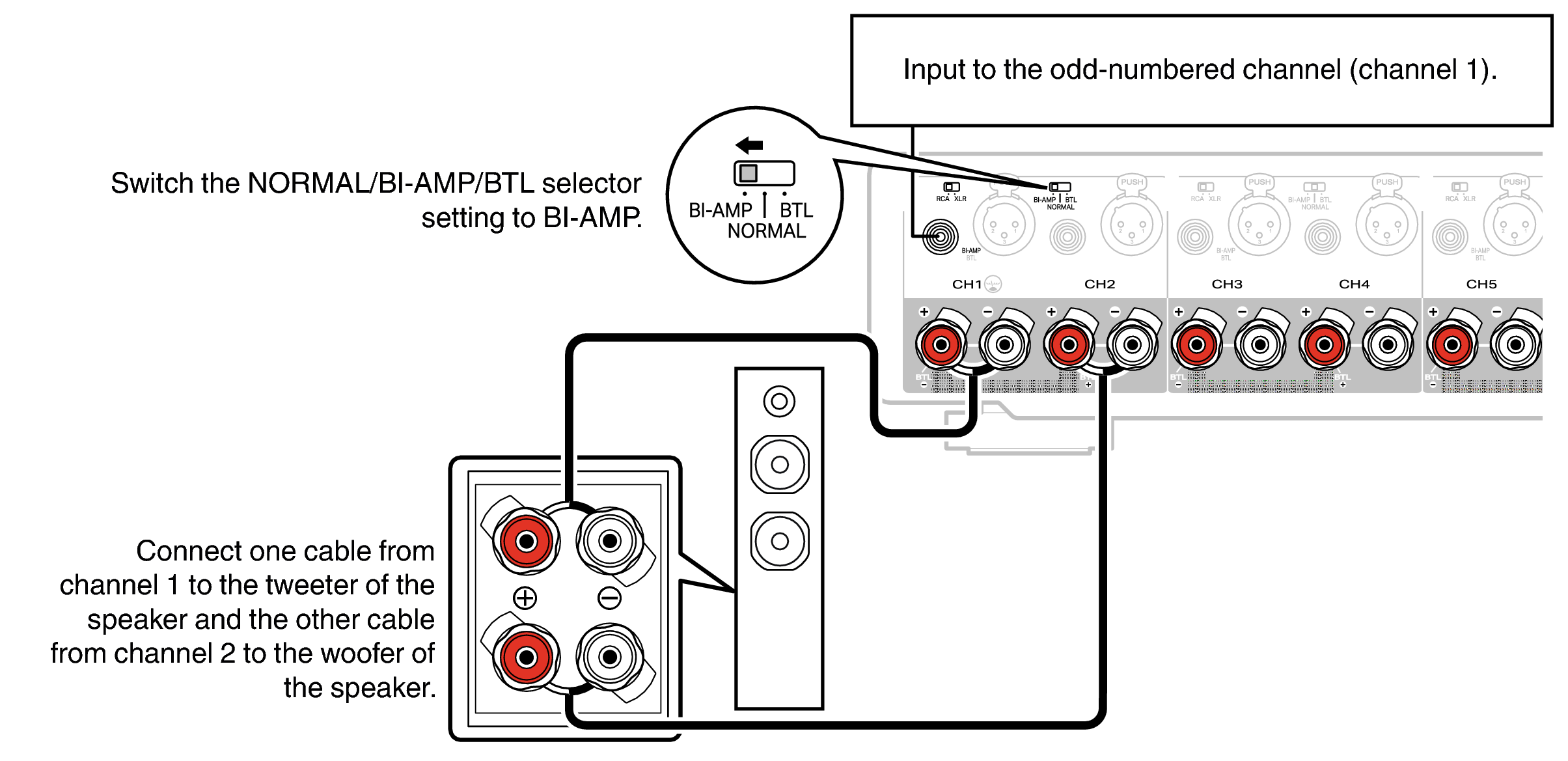 Conne SP BiAmp AMP30